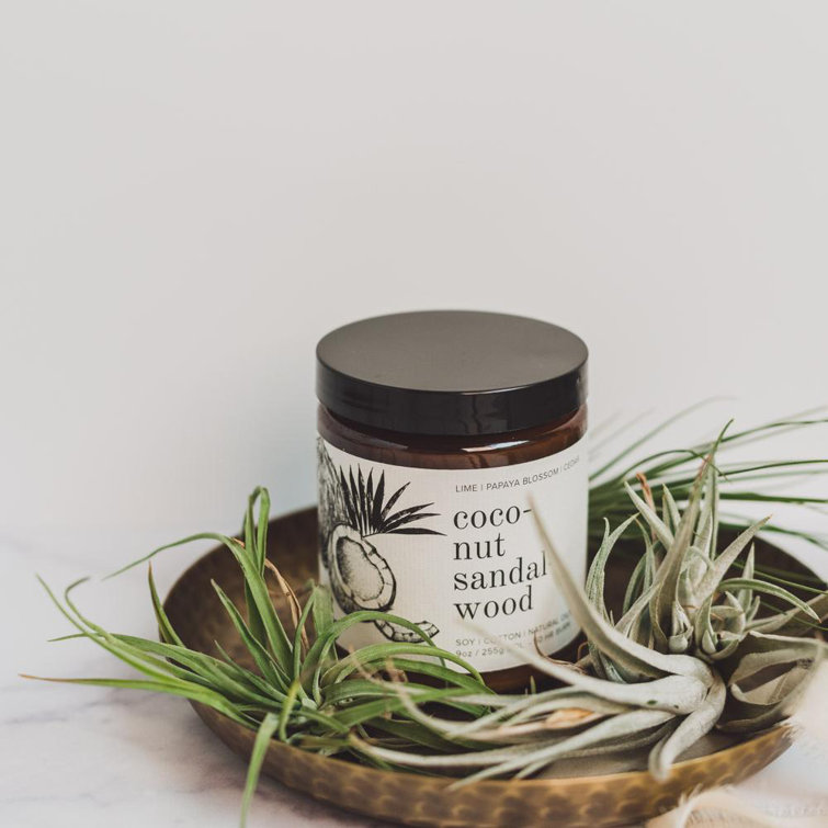 Broken Top Candle Company Coconut Sandalwood Scented Jar Candle Wayfair